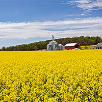 PA Landscapes